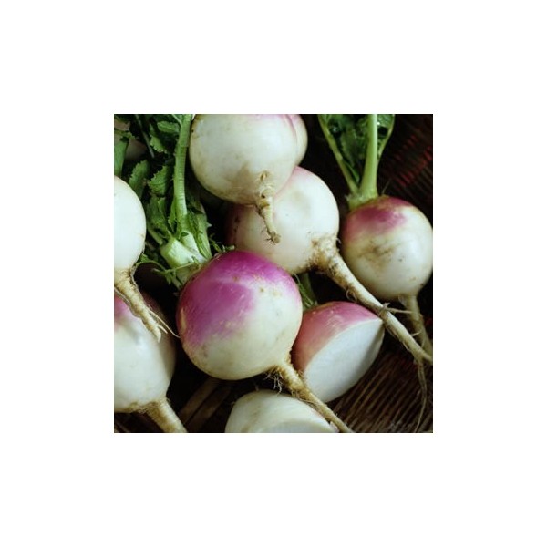 Shalgam (Turnip) - 1.5lb