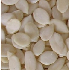 Charmagaz (Dried Melon Seeds) Small Pack