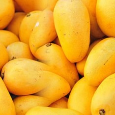 Indian alphonso mangoes in Hong Kong