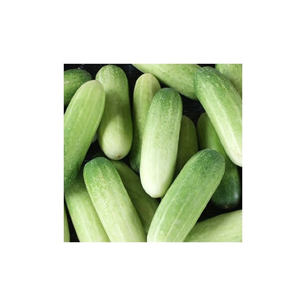 Cucumber (Kakri) - 400g