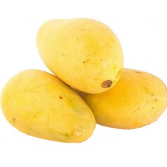 Pakistani Honey Mango