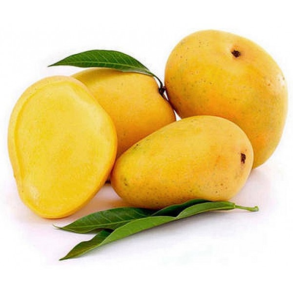 Indian Alphonso Mango, 3KG