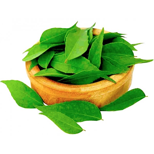 Curry Leaves (Curry Patta)