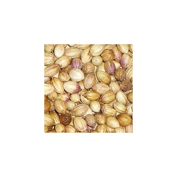 Coriander Seed Whole (Sabut Dhania)